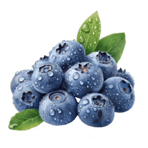 Blueberry (Imported)