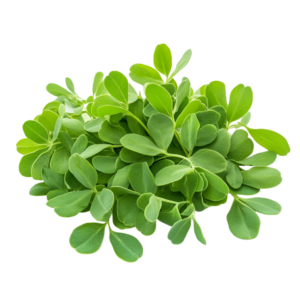 Fenugreek Leaves (Methi Saag)