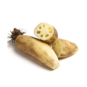 Lotus Stem (Kamal Kakdi) from here