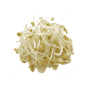 Bean sprouts
