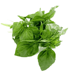 Basil leaf (Tulsi Patta)
