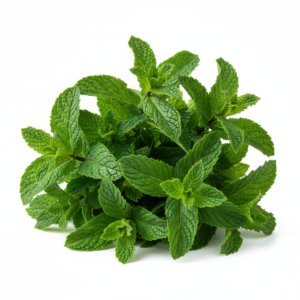 Mint leaves (Pudina Patta)