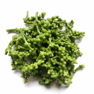 Malabar Spinach Seed (Pui Michuri)